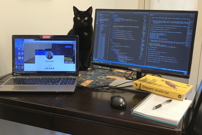 A table with a laptop, second monitor and a black cat sitting behind them