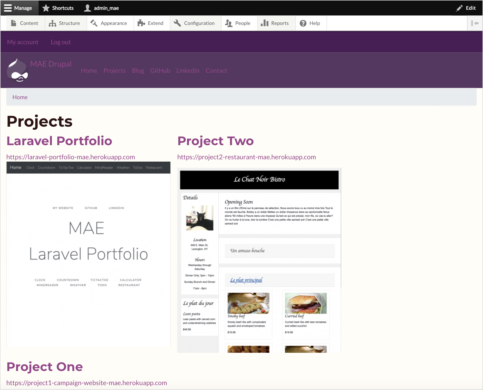 Screenshot of Projects Page