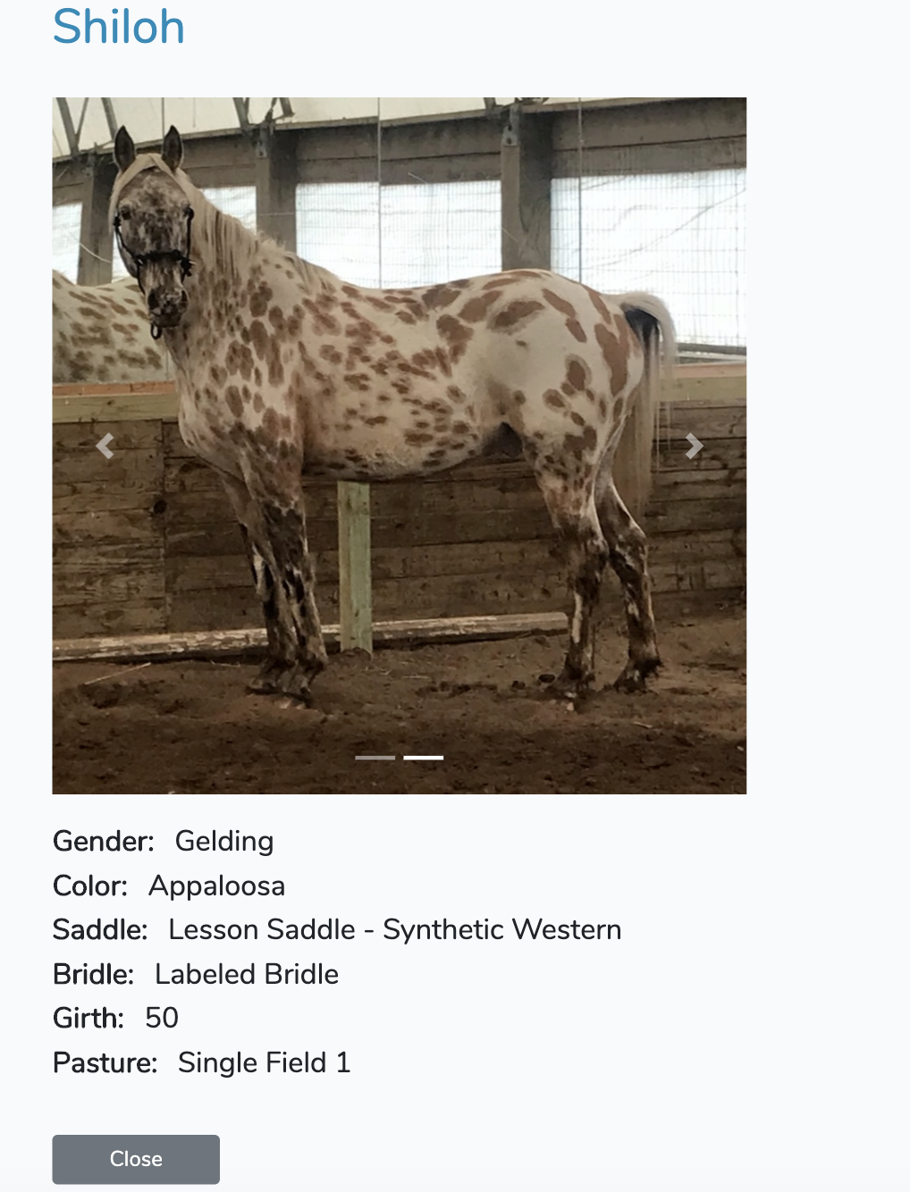Screenshot of Horse Information View