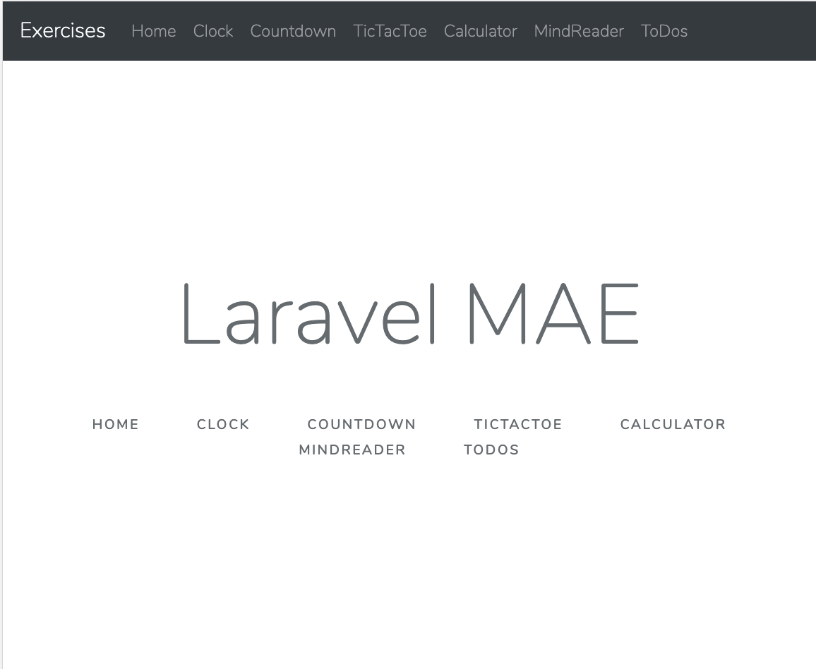 Screenshot of Laravel Exercises webpage